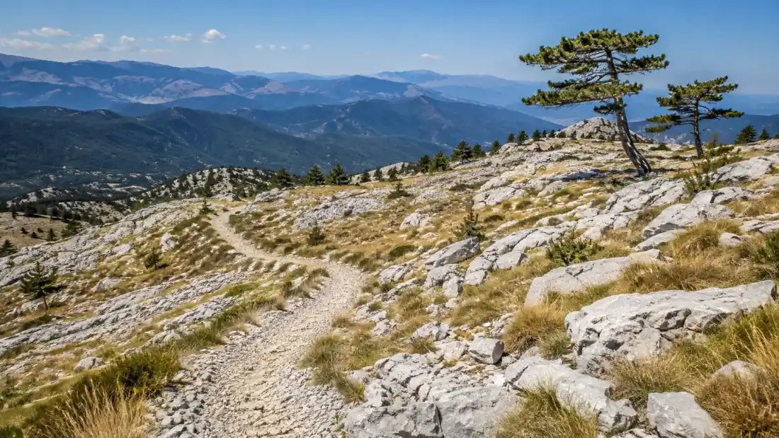 Prázdná horská cesta pro horská kola na krasové plošině v Černé Hoře